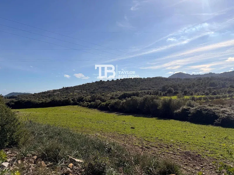 Villa for sale in Son Servera, Mallorca — photo 2