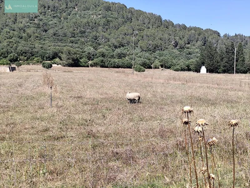 Land in sa Pobla, Province of Balearic Islands — photo 2