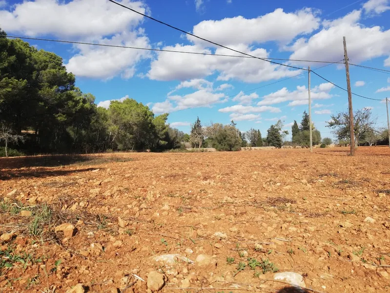 Buildable rustic plot. Fully fenced — photo 4