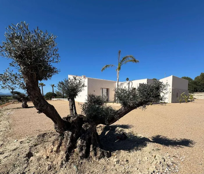 New-build villa with infinity pool and 222 olive trees – near Rafa Nadal Academy — photo 2