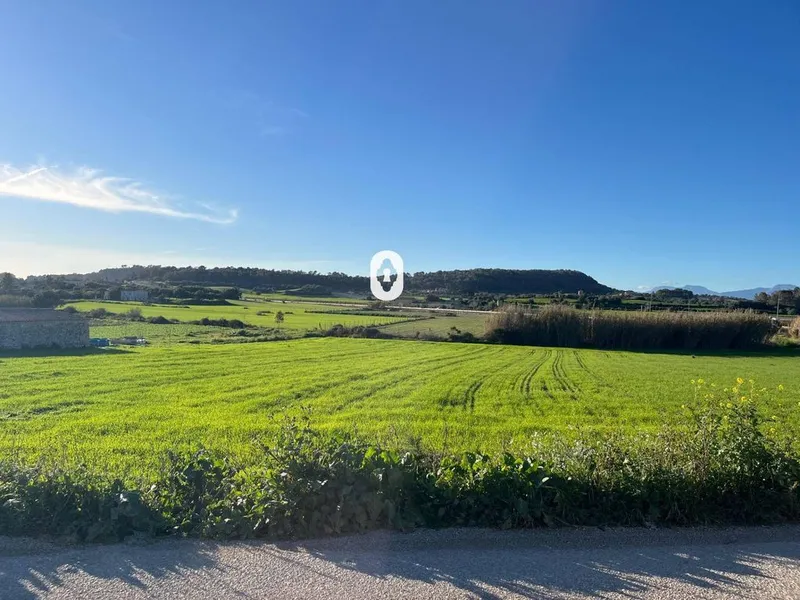 Land in Montuïri, Province of Balearic Islands — photo 11