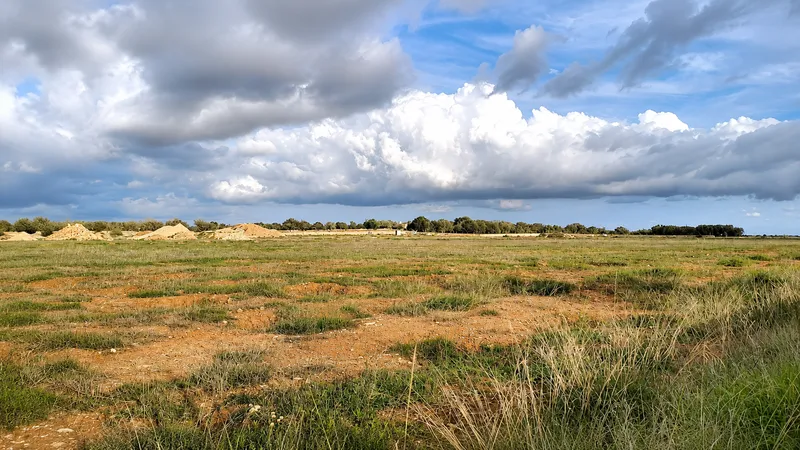 New construction project – state-of-the-art country finca as a solar self-sufficient house — photo 11