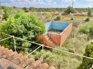 19,700 m² finca with 7 rooms, 3 bathrooms and pool for sale — photo 7