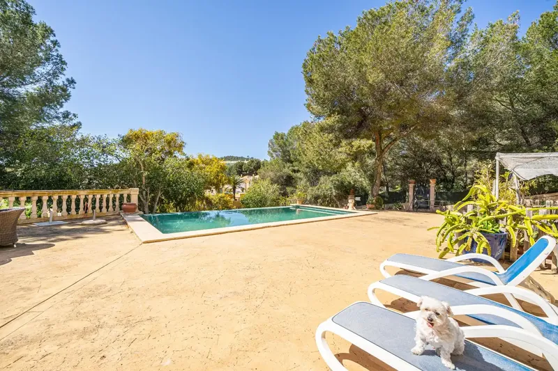 Imposing chalet with clear mountain views, located in Paguera, Calvià — photo 8