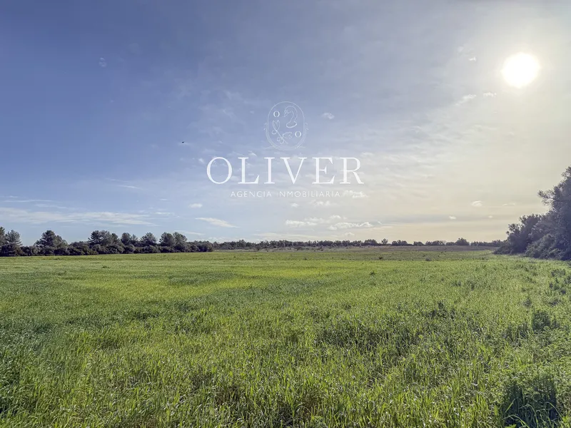 Large plot with views in Sencelles — photo 4