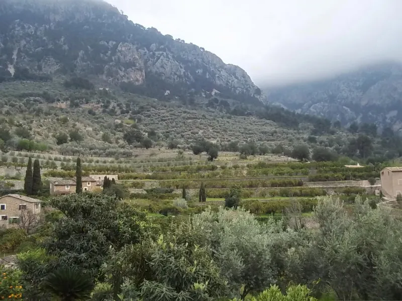 Garden plot in Fornalutx — photo 7