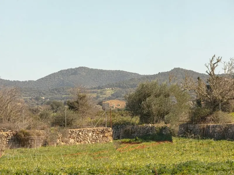 Luxury home in Felanitx, Province of Balearic Islands — photo 5