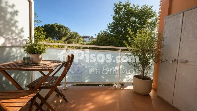 Apartment in Llevant — photo 3
