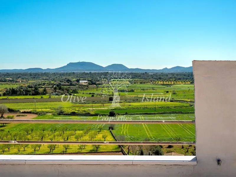 Luxury home in Santa Eugènia, Province of Balearic Islands — photo 4