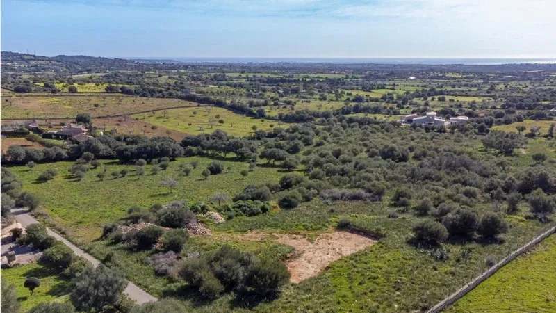 Plot+License in a spectacular location with lots of privacy and seaviews in Portocristo, on the east of Majorca. — photo 4