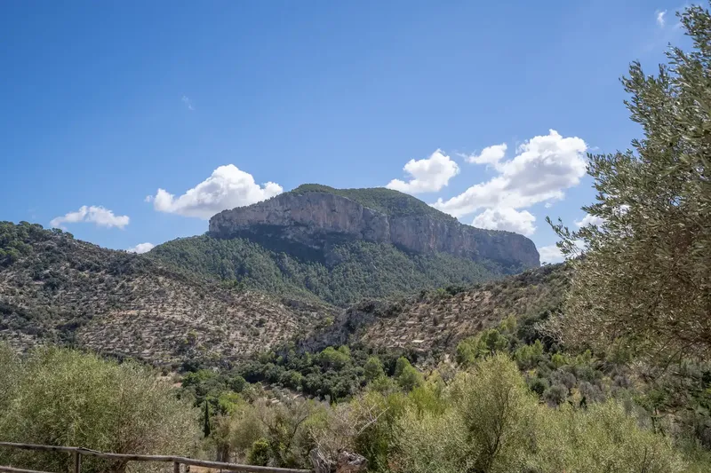 This exceptional finca with a plot of approx. 42,000 m² is located in a spectacular natural paradise between Orient and Alaró, in — photo 5
