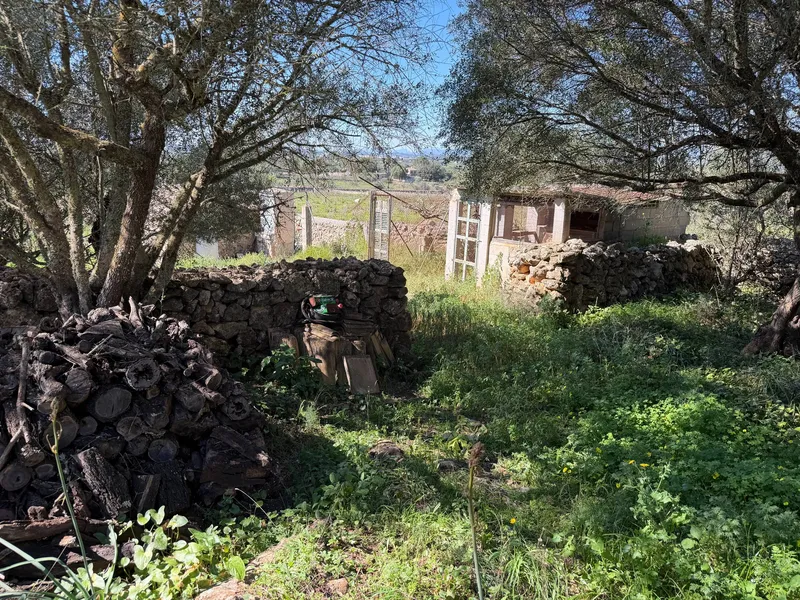 Rural land in Santa Margalida, plot surface 25574.5 m² — photo 4