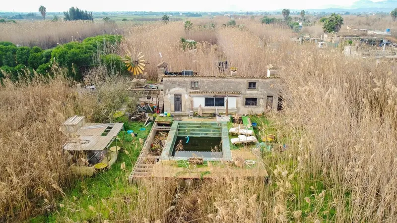 Rustic Estate in the S'Albufera Natural Park · Sa Pobla — photo 6