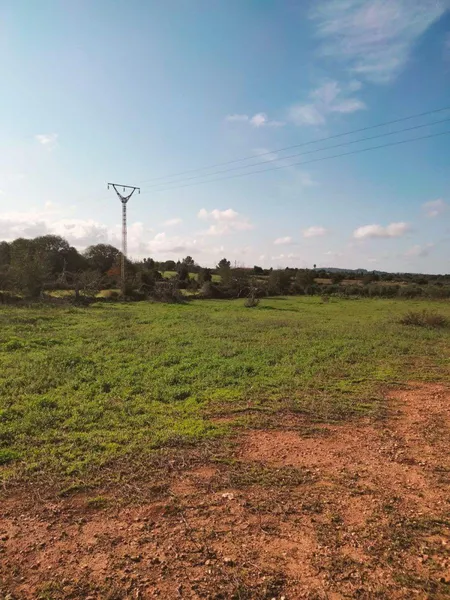 Plot in Llubí of about 3897 m² — photo 3