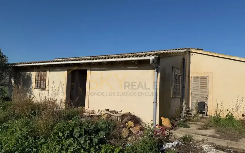 Developable Land in Sa Pobla: Nature and Future — photo 5