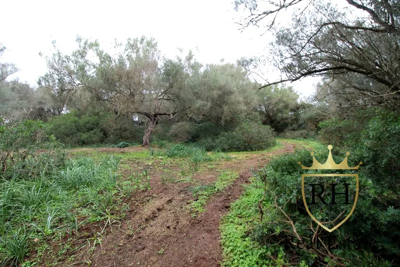 Rustic estate with possibilities to build the house of your dreams — photo 12