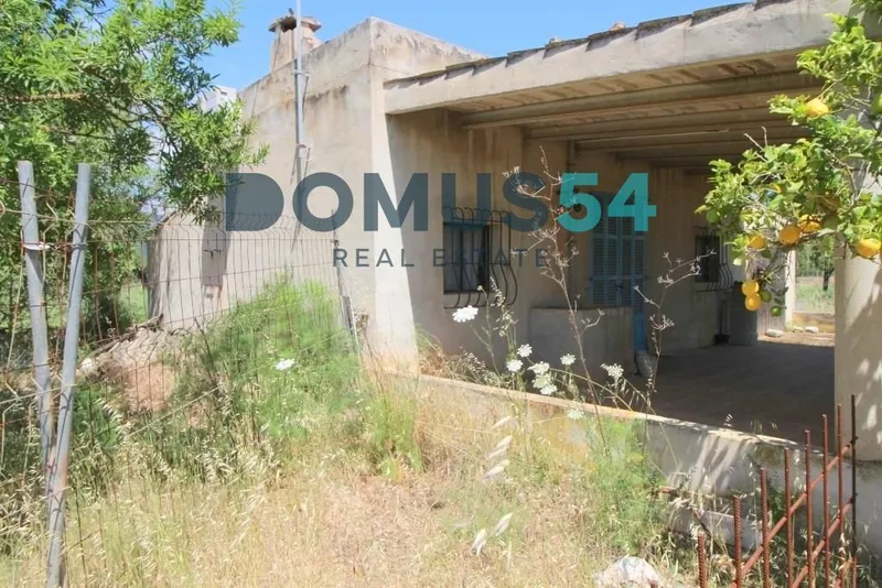 plot in Campanet — photo 9