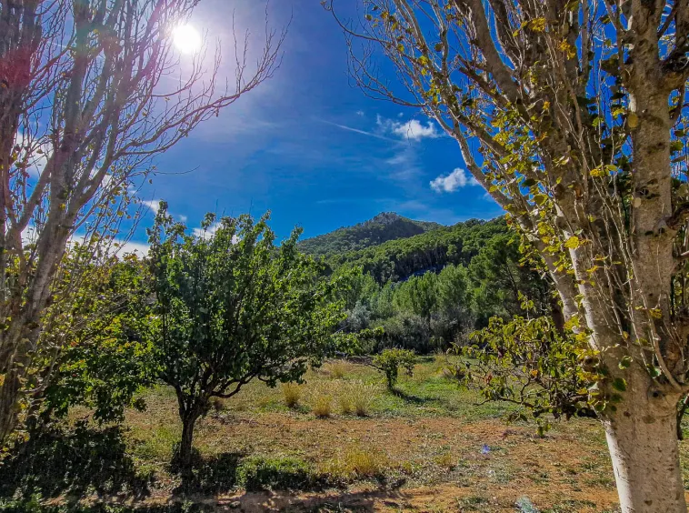 Ref. 2435C – Es Capdella – Beautiful finca with fantastic mountain views — photo 10