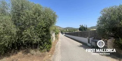 Real estate picture 0 Ref. No. 81934 — photo 3