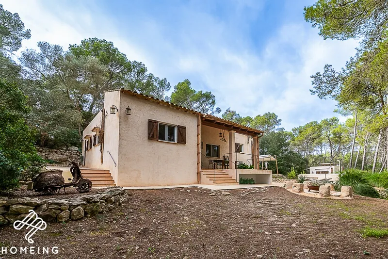 Unique rustic finca in a pine forest. Excellent state of preservation. — photo 1