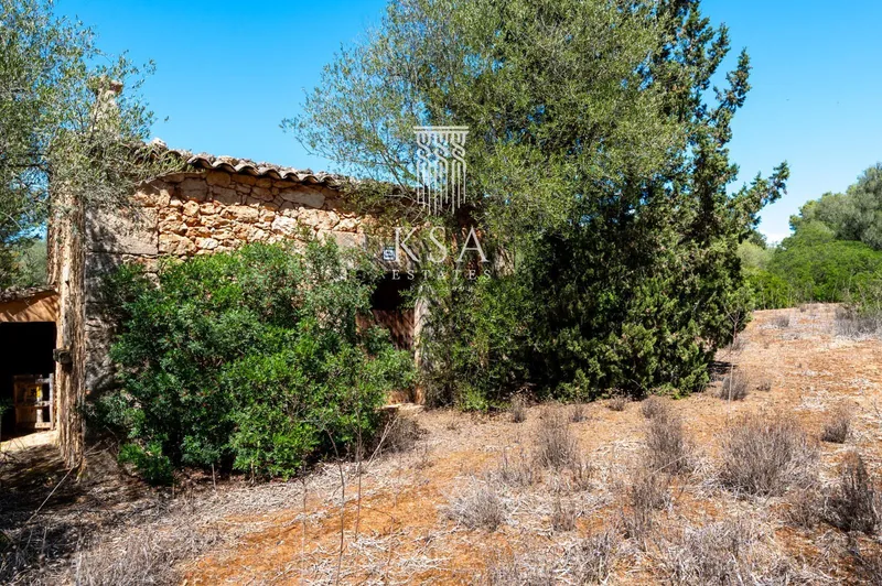 Rustic Estate — photo 11