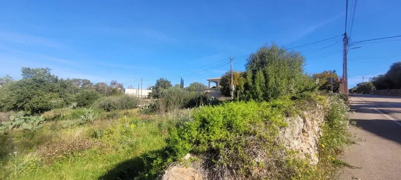 Land in Marratxí, Province of Balearic Islands — photo 6