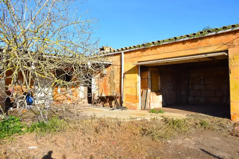 Rustic finca in Muro with 14,196 m2 of land and open views of the Serra de Tramuntana, in a quiet setting with great potential. — photo 4