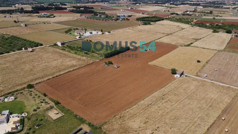plot in Muro — photo 12