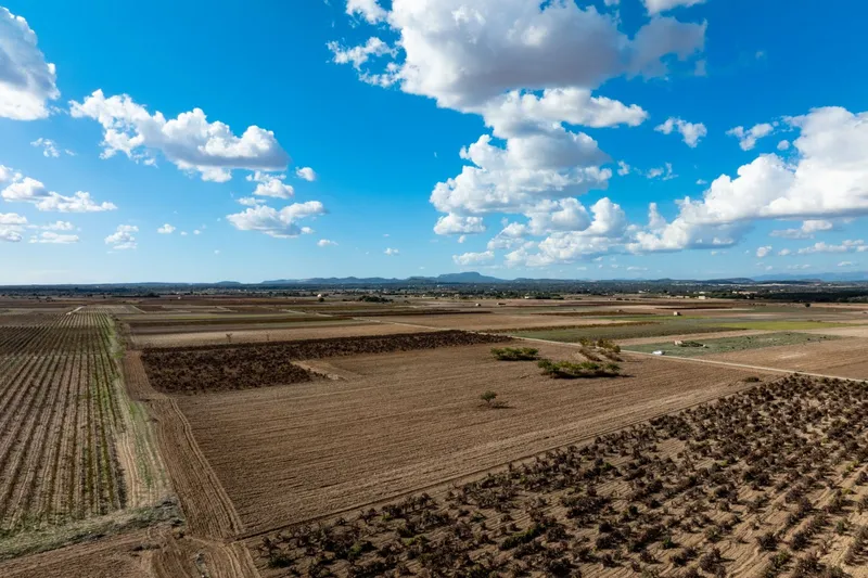 Mediterranean building plot with approved finca project and panoramic views near Manacor — photo 2