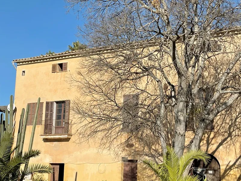 Country manor house to renovate in Pla de na Tesa, Marratxi — photo 4