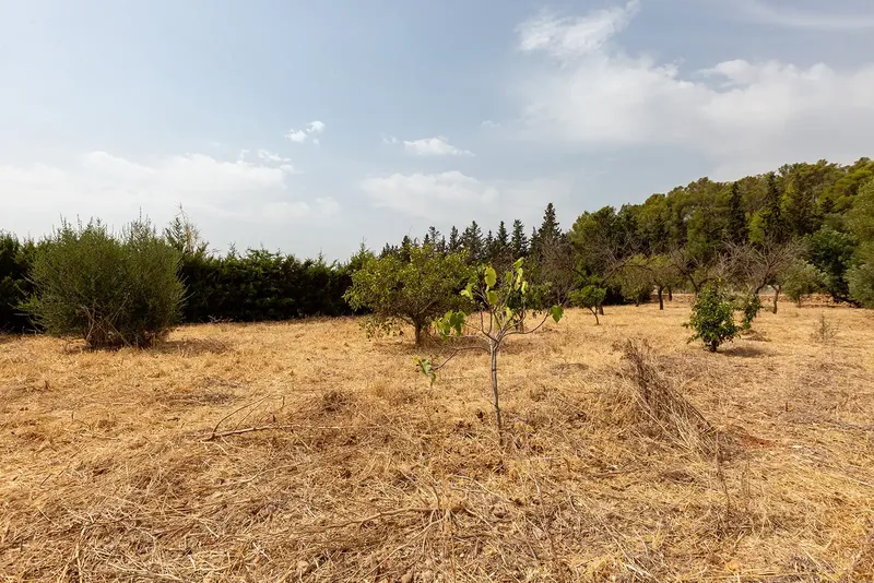 Discover the authentic essence of the Mallorcan countryside with this charming rustic finca located in Lloseta, enjoying spectacular views — photo 11