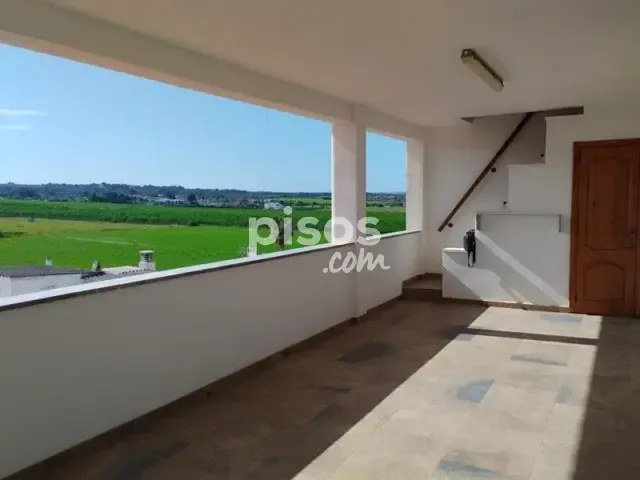 Apartment in Sant Jordi — photo 1