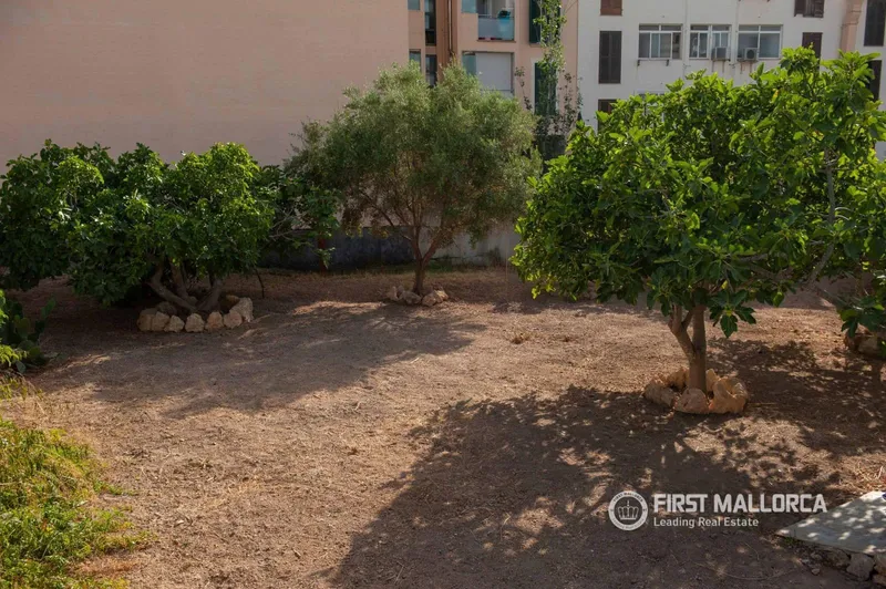 Villa for rent in Puerto de Andratx, Andratx, Mallorca — photo 8