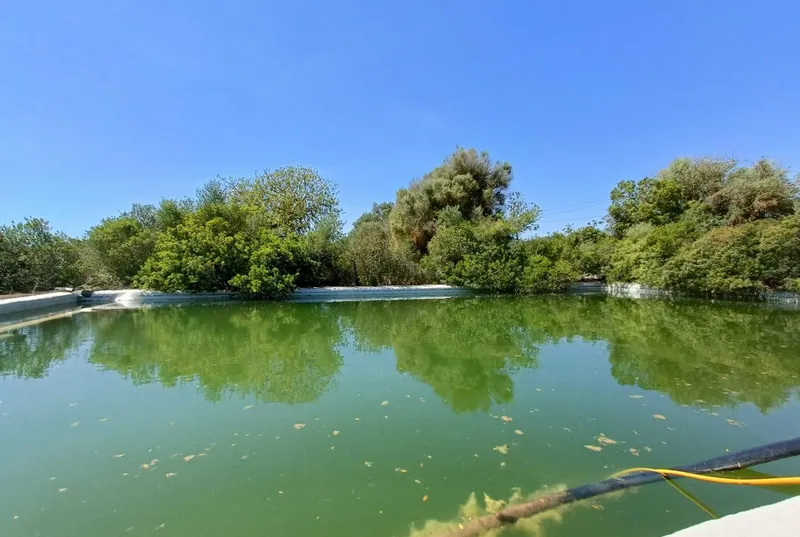 Estate of 140,000 square meters of land with dwelling — photo 5