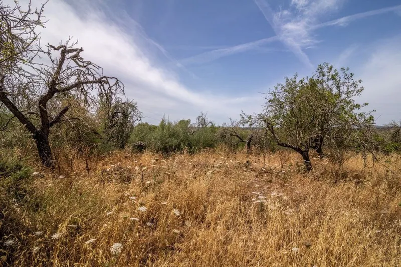 Rural or Farmhouse in Costitx, Province of Balearic Islands — photo 9