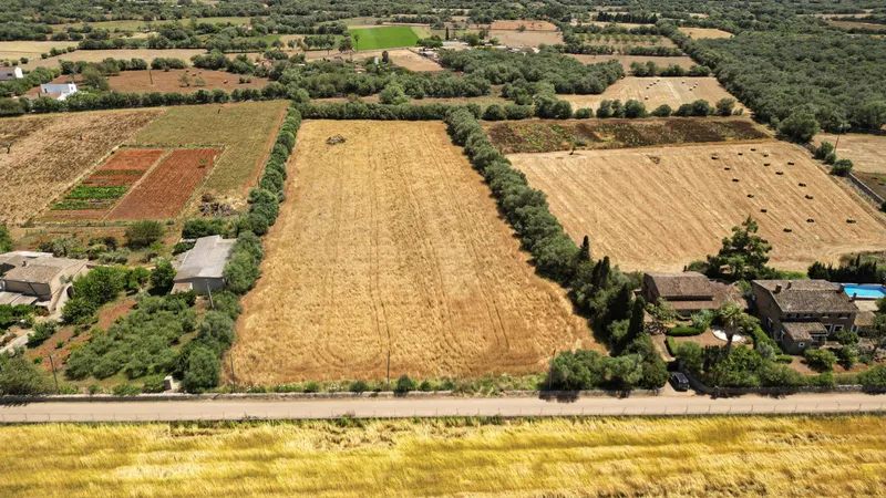 Unique plot of over 17,000 m² – Build your project in Mallorca — photo 1