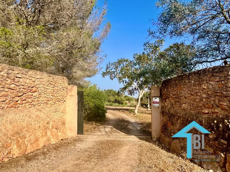 Rural or Farmhouse in Llucmajor, Province of Balearic Islands — photo 4