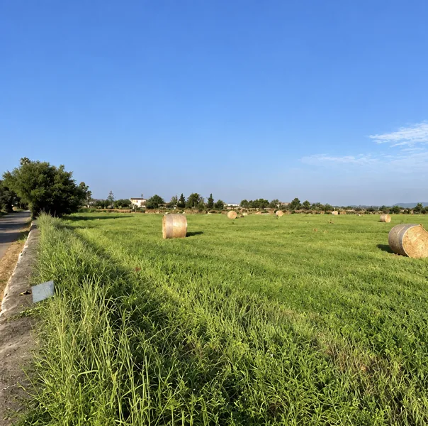 Buildable plot located in a quiet area, with a fantastic project, on the outskirts of Campos — photo 10