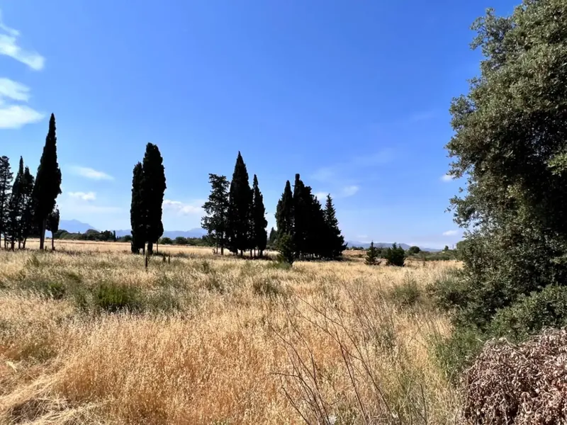 On the outskirts of Muro, next to the train station, we have this beautiful rustic estate with about 7,200 m2 of land and about 40 m2 — photo 9