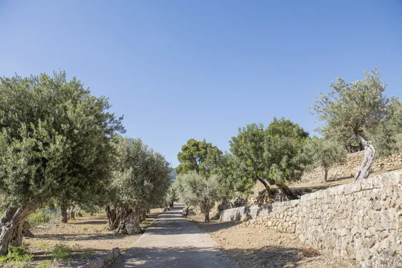 Dreamlike finca in Soller for weekly rental - Marcel Remus Real Estate — photo 9