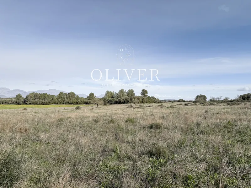 Large plot with views in Sencelles — photo 7