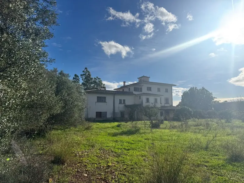 House of 624m2 on Inca-Sineu Road — photo 2