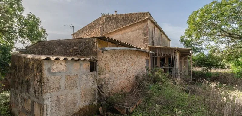 Country house to renovate in Campos with 14,000 m² plot — photo 7