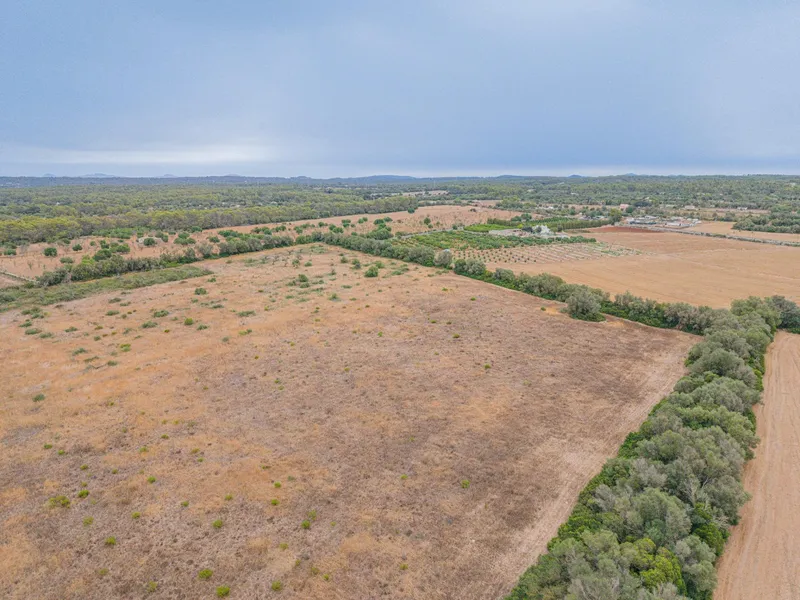 Rustic plot of 31,662 m² in Sencelles — photo 4