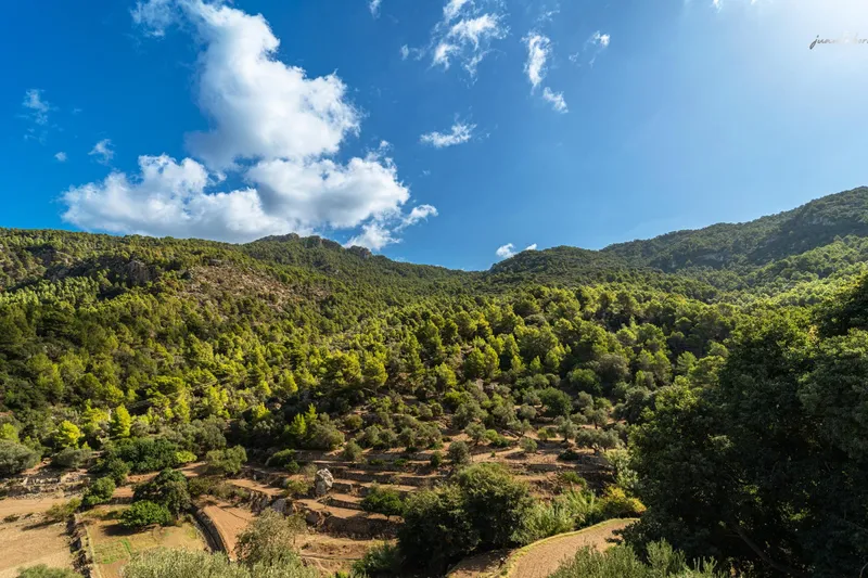 18th century finca to restore in Estellencs — photo 10