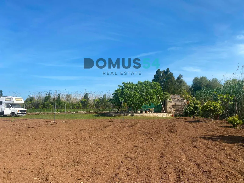 plot in Sa Pobla — photo 10