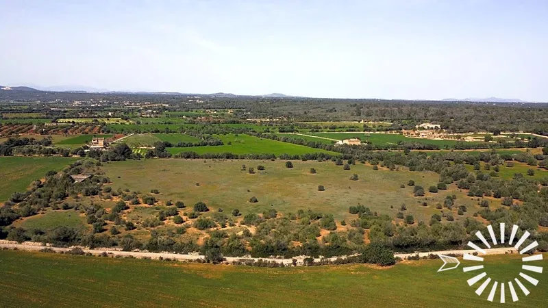 Country Estate for sale in Campos of 62000 m2 — photo 4