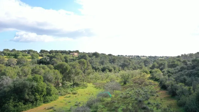 Rustic plot 5 minutes from Porto Petro — photo 1
