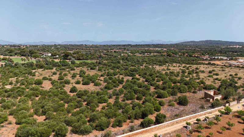 Rustic plot next to Son Antem, Mallorca — photo 5