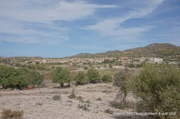 Plot / Developable Land in Manacor Centro, Manacor — photo 2